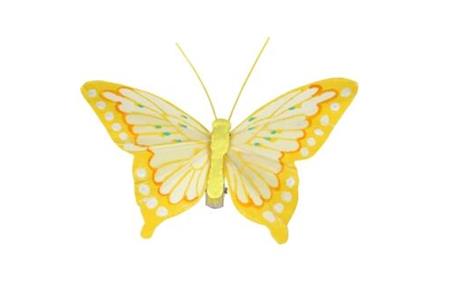 2 papillons sur pinces, 8 cm