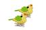 2 oiseaux tissus sur pinces, 4x6,5 cm