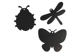 Set de 6 insectes à gratter + rubans + grattoir - taille 8 cm