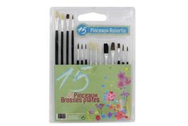 Set de 15 pinceaux et brosses assortis