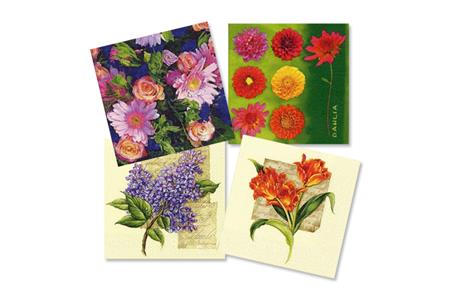 Set de 12 serviettes "Fleurs de printemps"